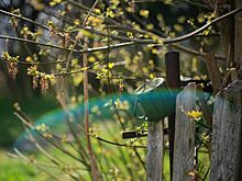 Что нельзя делать в Артемонов день 6 апреля