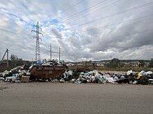 Импортозамещение в сфере обработки отходов достигло 95%