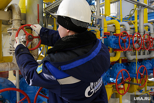 Novinky: Чехия в январе закупила у России 62% от общего объема газа