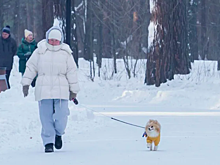 В Новосибирске опубликован прогноз погоды на неделю с 17 по 23 ноября