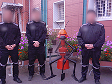 Осужденные Ижевска изготовили металлического муравья для участия в конкурсе прикладного творчества