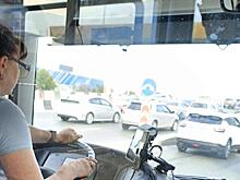 Водителей-женщин общественного транспорта подсчитали в Новосибирске