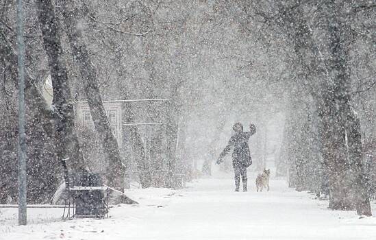 Москвичей предупредили о мокром снеге в понедельник