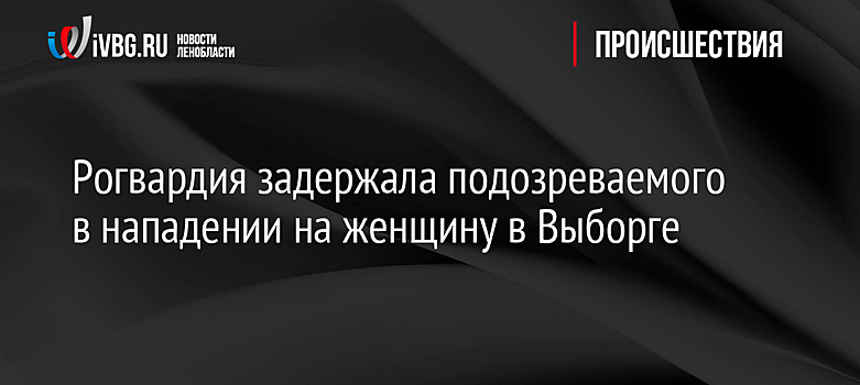 Рогвардия задержала подозреваемого в нападении на женщину в Выборге