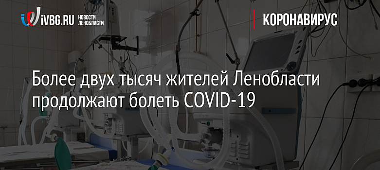 В Ленобласти антиковидные паспорта позволяют смягчить ограничения для предприятий общепита