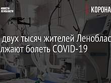 В Ленобласти антиковидные паспорта позволяют смягчить ограничения для предприятий общепита
