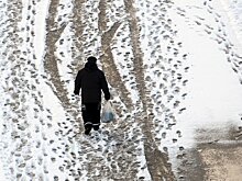 Москвичей предупредили о новом температурном рекорде