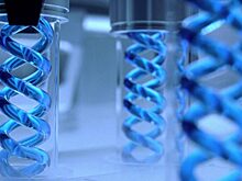 Канадские ученые создали синтетический вирус оспы‍