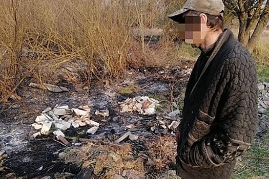 Задержан предполагаемый виновник пожара в Чернобыле