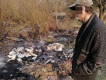 Задержан предполагаемый виновник пожара в Чернобыле
