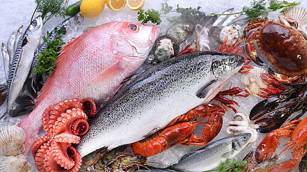 Минфин Пакистана назвал размер ежедневных убытков из-за протестов оппозиции