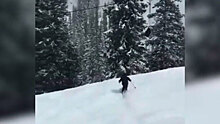 Лыжник прыгнул с горы и в воздухе врезался в элеватор: видео