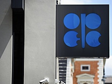 Стало известно, сколько страны ОПЕК заработали на нефти в 2023 году