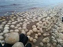 Необычные находки, сделанные на пляжах