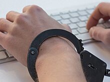 Сайт Общественной палаты по наблюдению за выборами подвергся DDoS-атаке