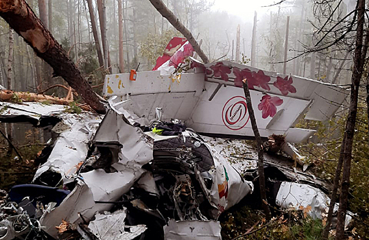 «Сбой навигационной системы»: выживший пилот L-410 рассказал о причине крушения самолета