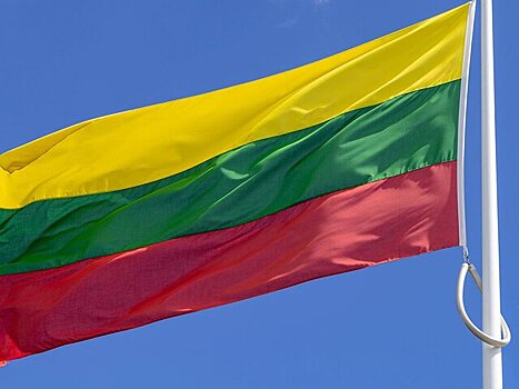 Премьер Литвы заявила о готовности отправить войска на Украину в учебных целях