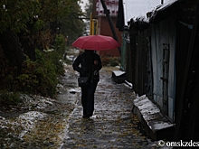 Реновация подобралась к частному сектору у парка 30-летия ВЛКСМ в Омске