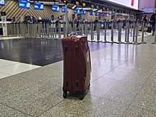 Mash: более 500 российских туристов прилетели в Москву из Антальи без багажа