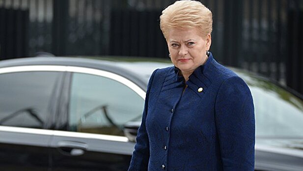 Литва оградится стеной от России до конца года