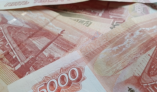 В Воронеже мошенник во время телефонного разговора украл у пенсионерки 300 тысяч рублей