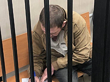 В Московской области активизировались догхантеры