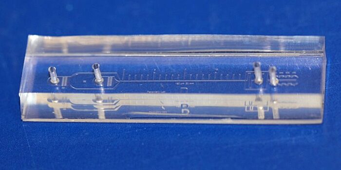 Ученые смоделировали условия ишемии на микрожидкостном чипе