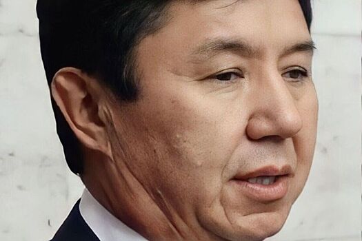 Глава ТПП Киргизии предложил предоставить гражданам страны особый статус в России