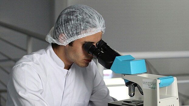 В России смогли ускорить процесс восстановления костной ткани