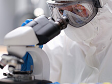 От черной до обезьяньей: как человечество борется с оспой