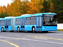 200 маршрутов через год ликвидируют в Петербурге