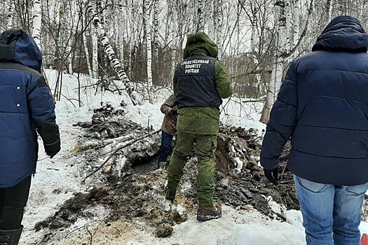 Названа причина смерти девочки, останки которой были закопаны в красноярском лесу