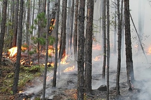 Иркутская область будет получать больше средств на тушение природных пожаров