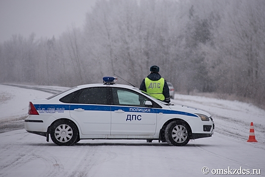 С начала года в ДТП в Омской области погибли девять человек