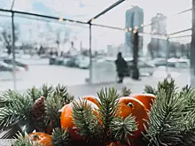 Врач рассказала о пользе мандаринов