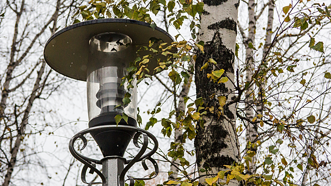 Тепло до +16°C и штормовой ветер: синоптики рассказали о погоде в Кузбассе 1 ноября