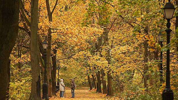 Более 1000 дружинников ежедневно выходят на улицы столицы