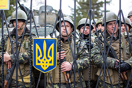 В Госдуме решили дать звания ветеранов России отслужившим в ВСУ