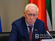 "Самые большие потери бюджет РТ понесет по "упрощенке" для МСБ