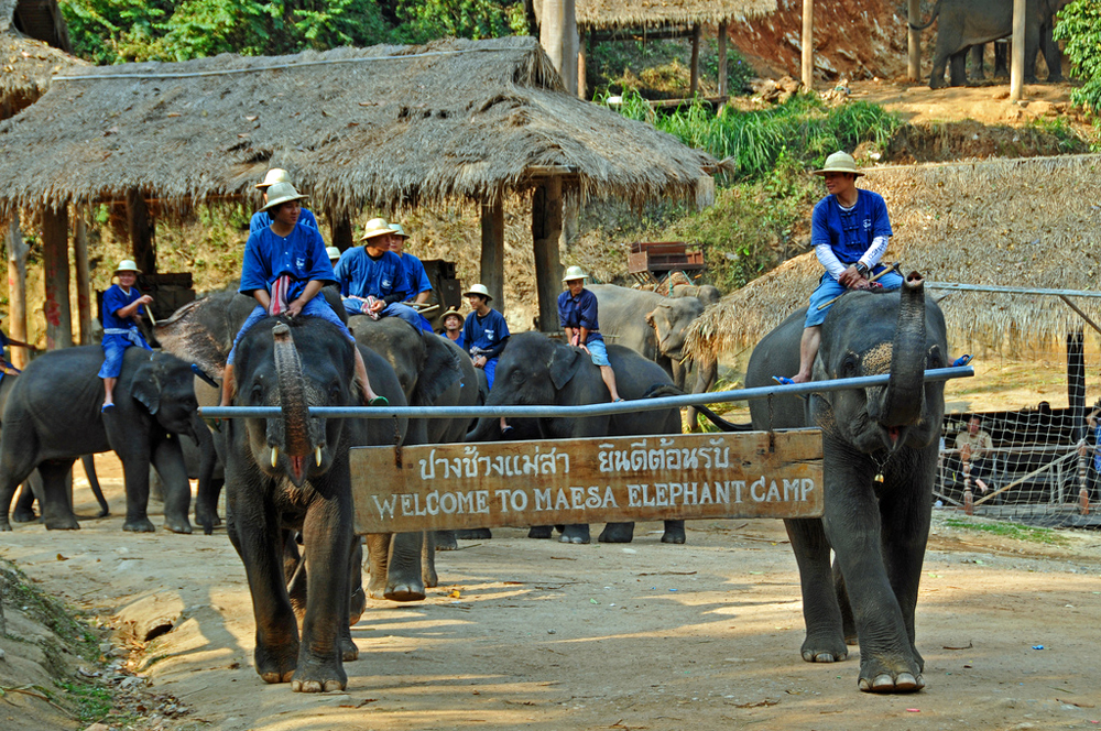 Вилла Maesa Elephant Camp, Чиангмай, Таиланд, Азия