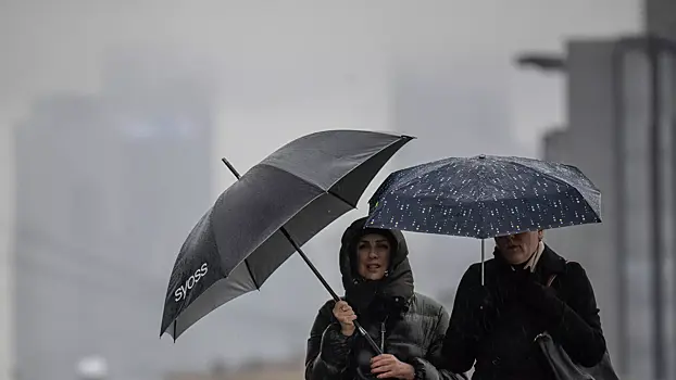 Синоптик Леус спрогнозировал небольшие дожди в Москве