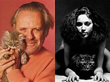 30 ретро-фотографий знаменитостей, позирующих с любимыми кошками