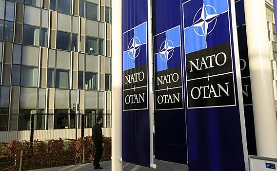 «Тихий бунт» в НАТО