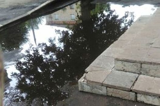 В Прикамье на территории, где выдали землю многодетным, не было дороги