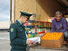 Таможня дает «добро», но поток мандаринов в два раза меньше прошлогоднего