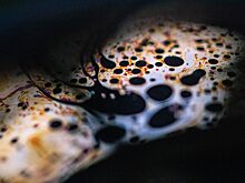 Экономист предсказал, что будет с рублем через год