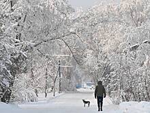 Россиянам дали прогноз насчет новых экстремальных морозов