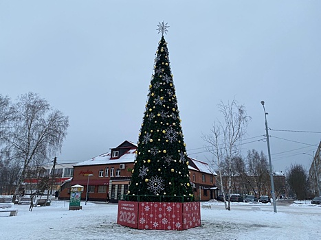 Новогоднюю ель установили в Кленовском