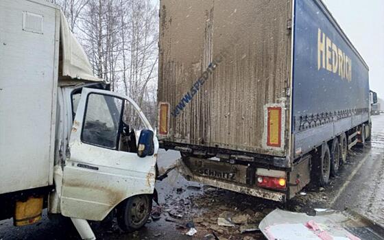 В Шиловском районе водитель «Газели» пострадал в ДТП с фурой