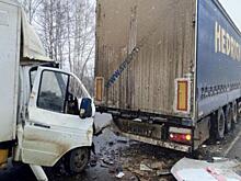 В Шиловском районе водитель «Газели» пострадал в ДТП с фурой